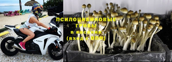 спайс Абаза