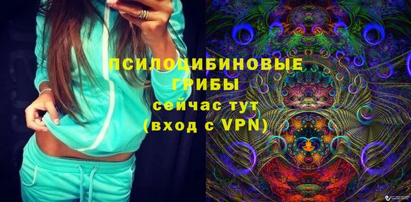 молекула духа Абинск