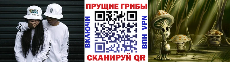 kraken сайт  что такое наркотик  Ртищево  Псилоцибиновые грибы Magic Shrooms 
