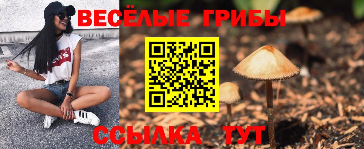 Псилоцибиновые грибы мицелий  Вход с VPN  что такое наркотик  Ртищево 